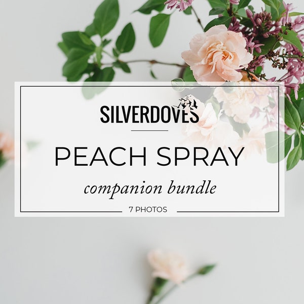 Peach Spray Carnations Companion Bundle  / Styled Stock Photos / Social Media Brand Image Bundle / Pretty Floral Collection / Silverdoves