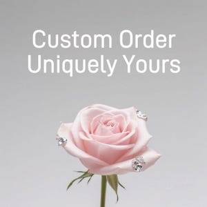 Custom Order Payment Only