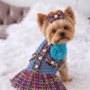 May include: A small dog wearing a denim-style dress with a colorful tweed skirt. The dress is adorned with pearl-like buttons and a large blue flower. A matching bow sits atop the dog's head.