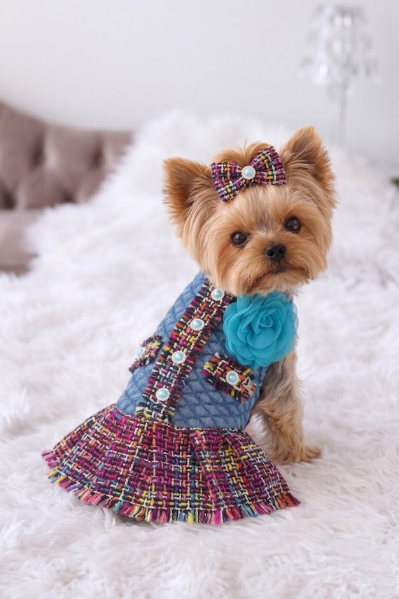 Colette Denim Dog Dress: Quilted Tweed Skirt, Crystal Buttons
