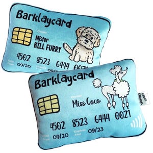 Carte de crédit, carte amusante pour chien, peluche argentée, peluche pour animal de compagnie, jouet amusant pour chien dessiné à la main, jouet qui couine, cadeau de Noël pour chien