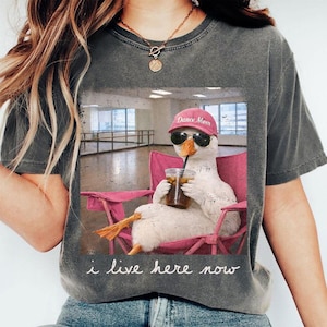 May include: Dark gray t-shirt featuring a graphic of a goose wearing sunglasses and a pink cap that says "Dance Mom." The goose is sitting in a pink chair, holding a drink. The text "i live here now" is printed at the bottom.