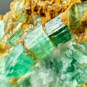 May include: Detailed image of a mineral specimen with striking green crystals. The crystals, with a rectangular form, are set against a backdrop of light green and brown rock. The photograph showcases the natural beauty and intricate details of the mineral formation.