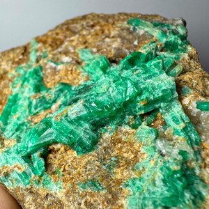 Può includere: Un esemplare minerale grezzo con strutture cristalline verde brillante incastonate in una matrice rocciosa testurizzata color marrone chiaro. I cristalli color smeraldo presentano una forma prismatica allungata con una superficie traslucida.