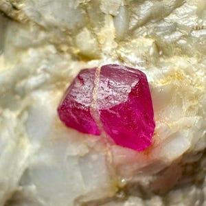 Puede incluir: Una gema rosa intenso, posiblemente un rubí, está incrustada en una matriz de roca blanca y beige. La gema tiene una estructura cristalina y una grieta en el centro. El fondo es un primer plano de la roca circundante.