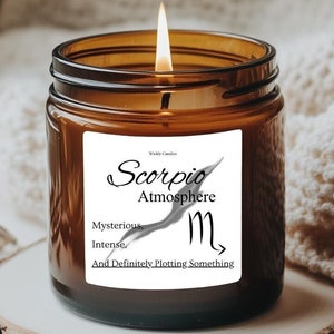 Scorpio Astrology Candle, Funny Zodiac Candle, Scented Soy Amber Jar Candle, November Birthday, Gift for Friend, Astrology Decor, Star Sign