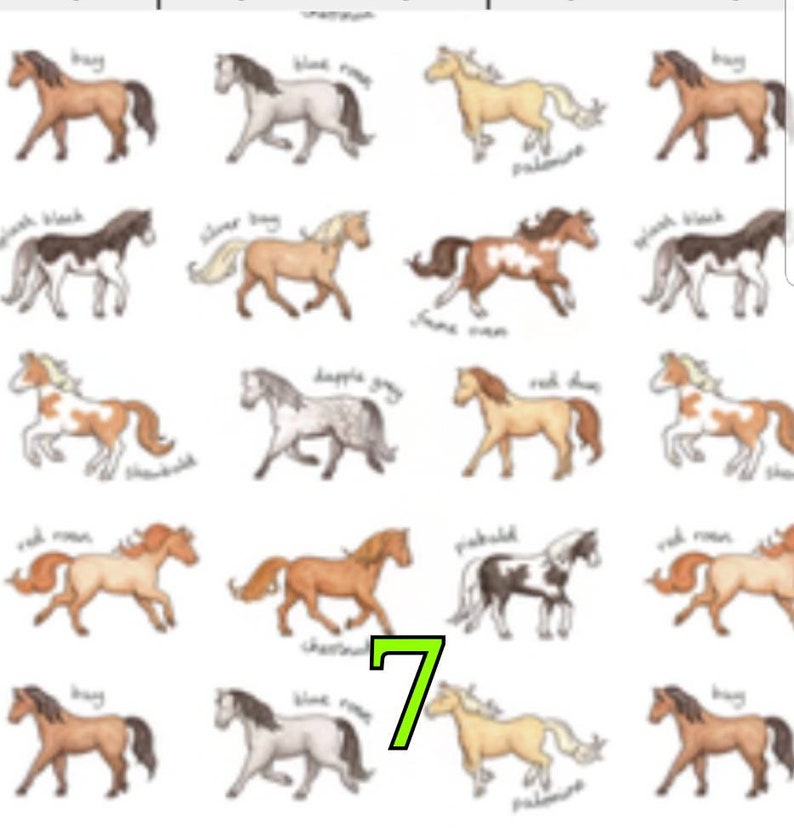 CUSTOM Scrub Hat Horse Fabrics Etsy