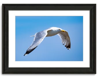 Life is A Test Run Poster, Jonathan Livingston Seagull Inspired