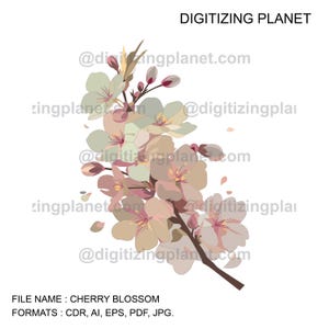Puede incluir: Una rama de delicadas flores de cerezo de color rosa y blanco con centros amarillos. Las flores están dispuestas en un racimo y tienen un toque suave y romántico.