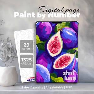 Purple Figs Paint by Number |  Digital & Pintable Coloring Page | PNG for iPad Procreate
