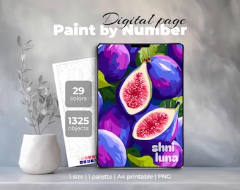 Purple Figs Paint by Number |  Digital & Pintable Coloring Page | PNG for iPad Procreate