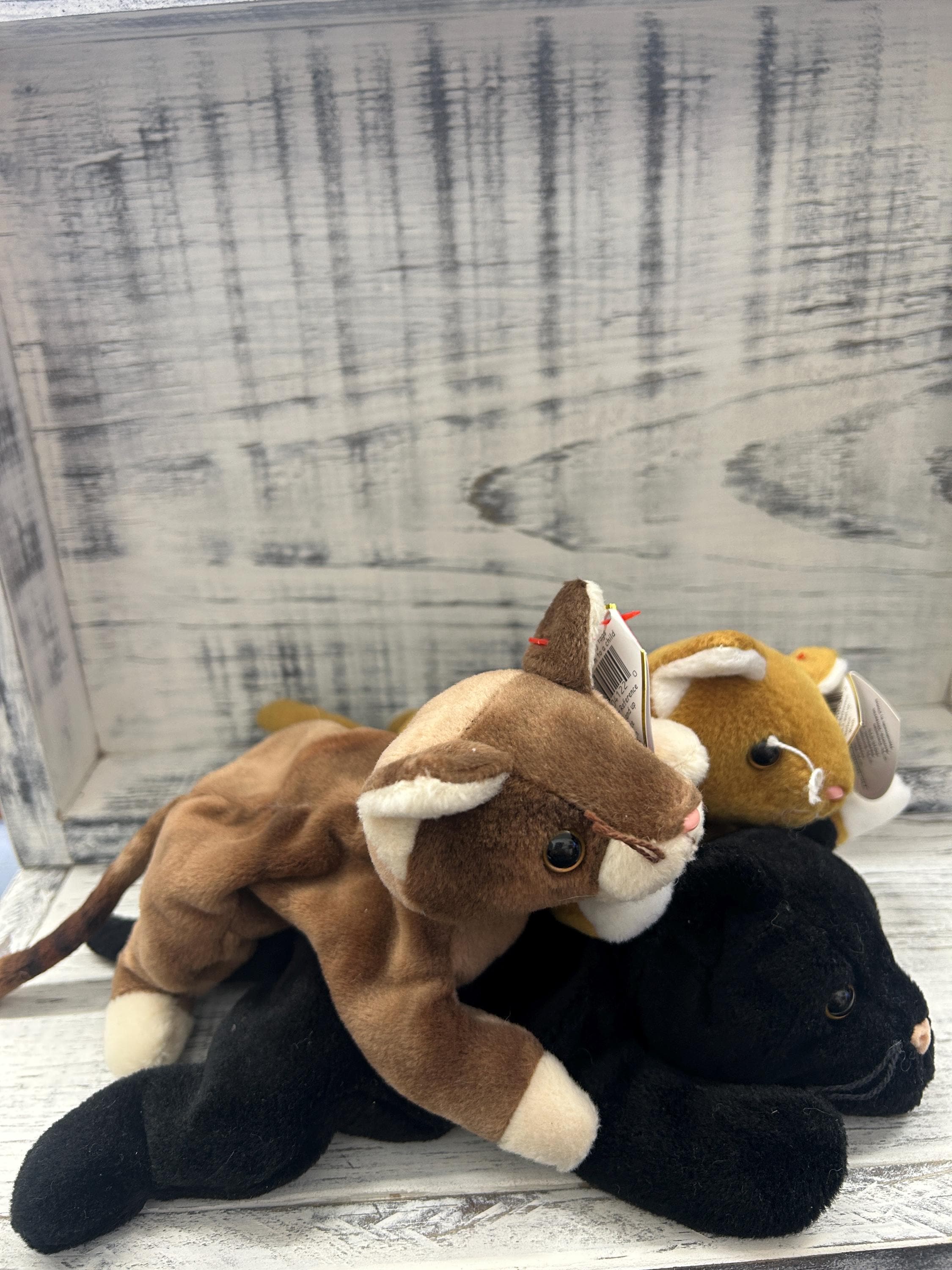 Ty Beanie Babies 猫のぬいぐるみ 3体セット ヴィンテージ 1990年代