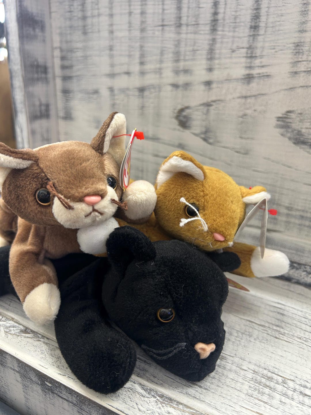 Ty Beanie Babies 猫 ぬいぐるみ 4体セット Ty Beanie Babies 猫のぬいぐるみ 3体セット ヴィンテージ 1990年代