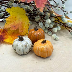 Mini Ceramic Pumpkins Set