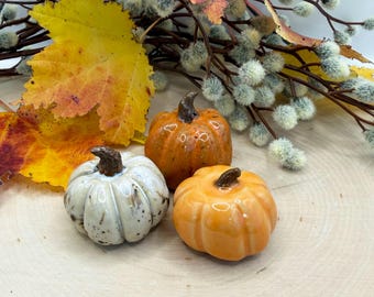 Mini Ceramic Pumpkins Set