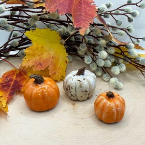 Mini Ceramic Pumpkins Set