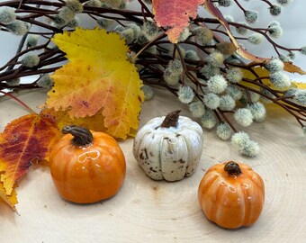 Mini Ceramic Pumpkins Set