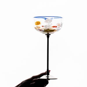 Blossom Coupe Set of 2 Glasses – BARTA x YAKUSH Hand-Blown Cocktail Glasses