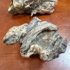 May include: Two pieces of driftwood with a rough, weathered texture. The driftwood is gray and brown in color and has a natural, organic shape.