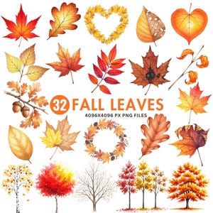 Fall Leaves Clipart, Watercolor Autumn Leaves, Autumn Leaf Clip Art, Fall Leaf PNGs, Watercolor Leaves, Thanksgiving Clipart, Fall Clipart