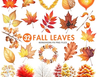 Fall Leaves Clipart, Watercolor Autumn Leaves, Autumn Leaf Clip Art, Fall Leaf PNGs, Watercolor Leaves, Thanksgiving Clipart, Fall Clipart