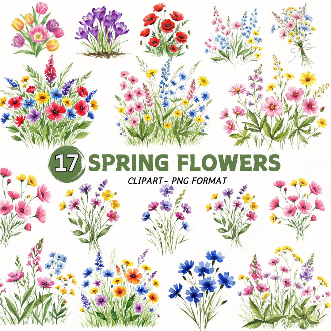 Watercolor Spring Flower Clipart: Floral Bouquet PNG Bundle (digital ...