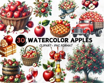 Watercolor Apple Clipart: Rustic Harvest PNG Bundle (Commercial Use)