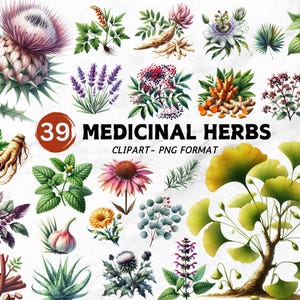 Clipart de ervas medicinais, remédios herbais em aquarela, PNG botânico, plantas medicinais, ervas de jardim, gráficos de sublimação, uso comercial