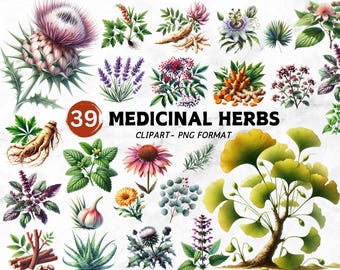 Medicinal Herbs Clipart, Botanical Clipart, Greenery Leaves PNG, Medicinal Plants Illustration, Herbal Remedies, Kitchen Herbs Clipart