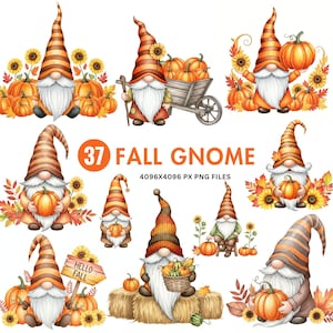 Watercolor Fall Gnome Clipart: Pumpkin Spice & Harvest (37 PNG Files)