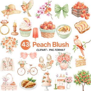 Watercolor Peach Clipart, Cottagecore Peonies, Summer Floral PNG, Fruit Illustration, Peach Blossom, Commercial Use, Digital Download