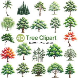Watercolor Tree Clipart Bundle: Forest, Roots, Tree of Life (PNG Files, Commercial Use)
