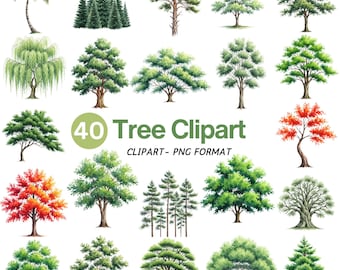 Watercolor Tree Clipart Bundle: Forest, Roots, Tree of Life (PNG Files, Commercial Use)