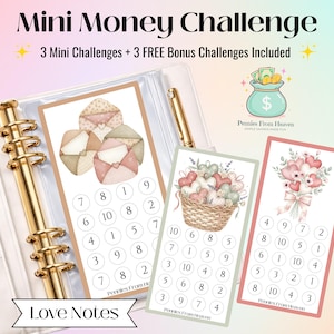 May include: A planner with three mini money challenges and three bonus challenges. The challenges feature illustrations of envelopes, hearts in a basket, and a bouquet of hearts. The text "Mini Money Challenge" is at the top.