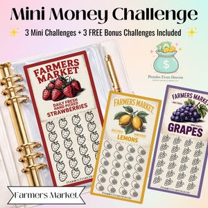Farmers Market Mini Money Challenge Printable, A6 Savings Tracker, Food Budget Envelope Insert, Digital Download, Mini Savings Challenge