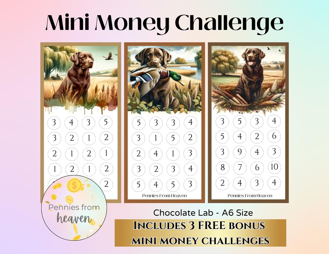 Chocolate Lab Mini Money Challenge, Duck Hunting, Hunting Life, Mallard ...