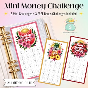 May include: A set of three mini money challenge cards with summer fruit themes, including watermelon, pineapple, and strawberries. The cards are in a binder with a gold pen. Text includes "Mini Money Challenge" and "Summer Fruit."