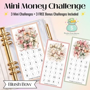 Blush Row Mini Sparutmaning Utskrivbar Coquette Cash Stuffing Tracker Feminin Blommig Budgetpärm Inlägg