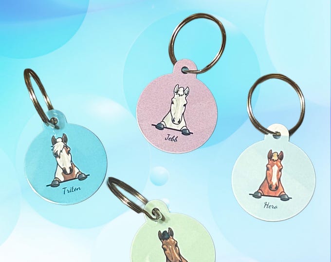 Personalized Halter/Blanket Tags w FREE Blanket Tenperature Guage