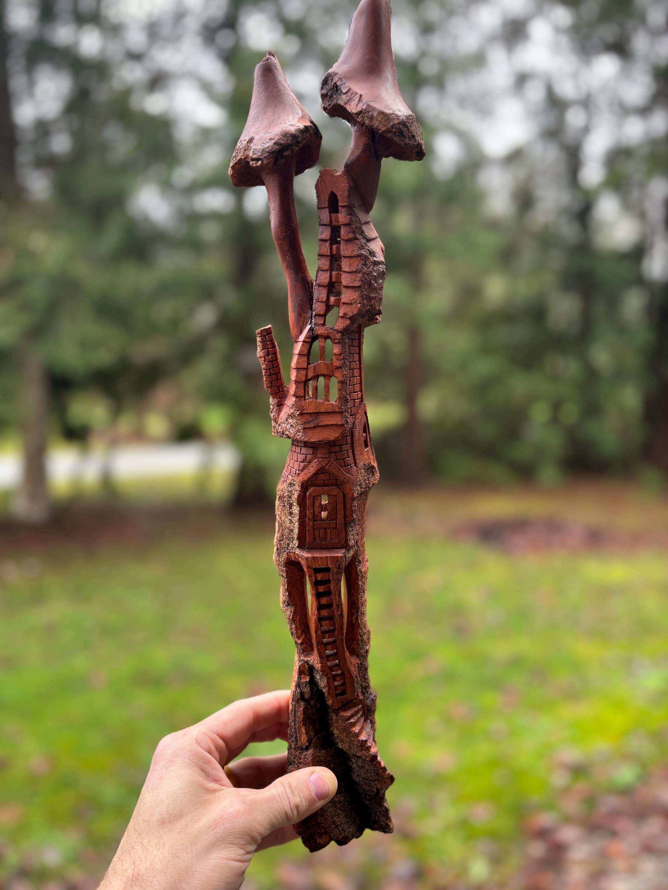 Écorce De Cottonwood Pour Sculpture - Morceaux De Moins De 11 Pouces - Livraison Gratuite Rapide