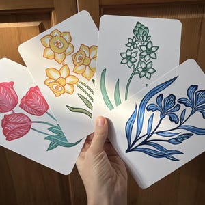 Könnte beinhalten: Eine Hand hält vier weiße Karten mit floralen Illustrationen. Die Karten zeigen rote Tulpen, gelbe Narzissen, grün-weiße Blumen und blaue Iris. Die floralen Designs sind detailliert und stilisiert, mit grünen Stielen und Blättern.