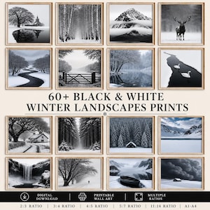 Op de afbeelding: Een collectie van 60+ zwart-wit winterlandschap prints met besneeuwde scènes, waaronder een kerk, berkenbomen, bergen, een hert, een kronkelende rivier, een hek, zwanen, een hut, een bos, een waterval en een boot op een meer.