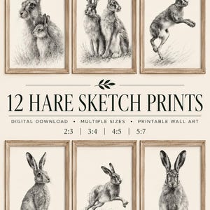 Puede incluir: Seis bocetos al carboncillo de liebres en varias posturas, incluyendo sentadas, de pie y saltando. El texto dice 12 HARE SKETCH PRINTS, DIGITAL DOWNLOAD, MULTIPLE SIZES, PRINTABLE WALL ART, 2:3, 3:4, 4:5, 5:7 y MULTIPLE SIZES INCLUDED.
