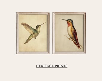 Juego de 2 pinturas de colibríes para pared: Arte de pájaros imprimible, descarga digital