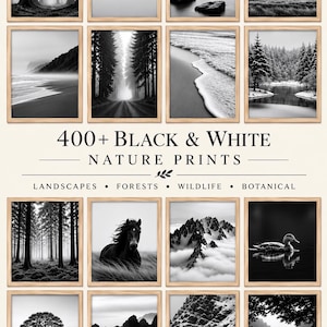400+ svartvita naturtryck, monokroma landskap, djurliv, botaniska växter (digital nedladdning)