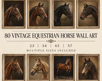 Vintage Equestrian Horse 80 Wall Art Set