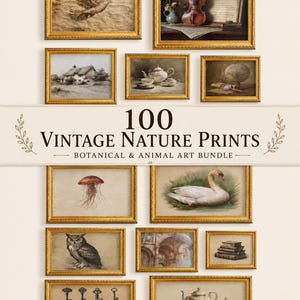 May include: A collection of 100 vintage nature prints featuring botanical and animal art in gold frames. The images include a flying bird, a violin, a cottage, a teapot, a globe, a jellyfish, a swan, an owl, architecture, books, and keys.
