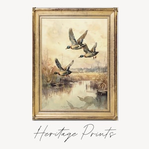Lámina vintage de patos reales: Arte mural de patos voladores (descarga digital)