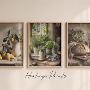 Peut inclure: Trois impressions murales encadrées intitulées Heritage Prints. L'image de gauche montre des citrons et un pichet. L'image centrale affiche des herbes en pot sur une surface en bois. L'image de droite présente du pain, de l'huile et de l'ail.