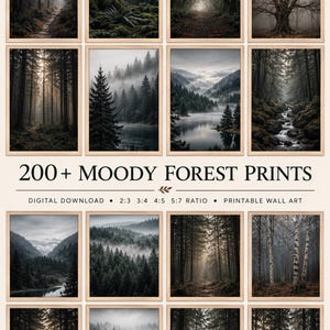 May include: A collection of 200+ moody forest prints presented as digital wall art. The display features sixteen framed images of misty woodlands, dense pine forests, mountain lakes, and bare trees, with text reading 200+ MOODY FOREST PRINTS.